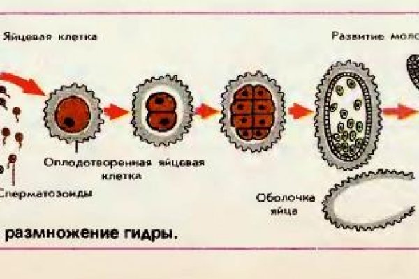 Омг войти