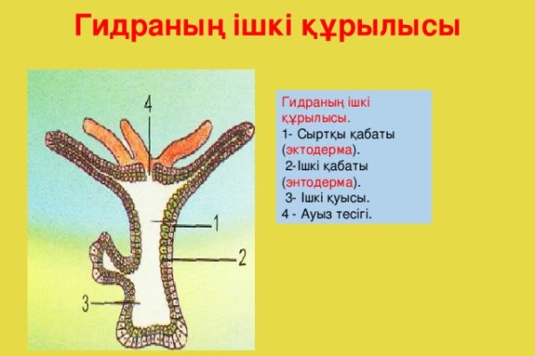 Как вывести с омг